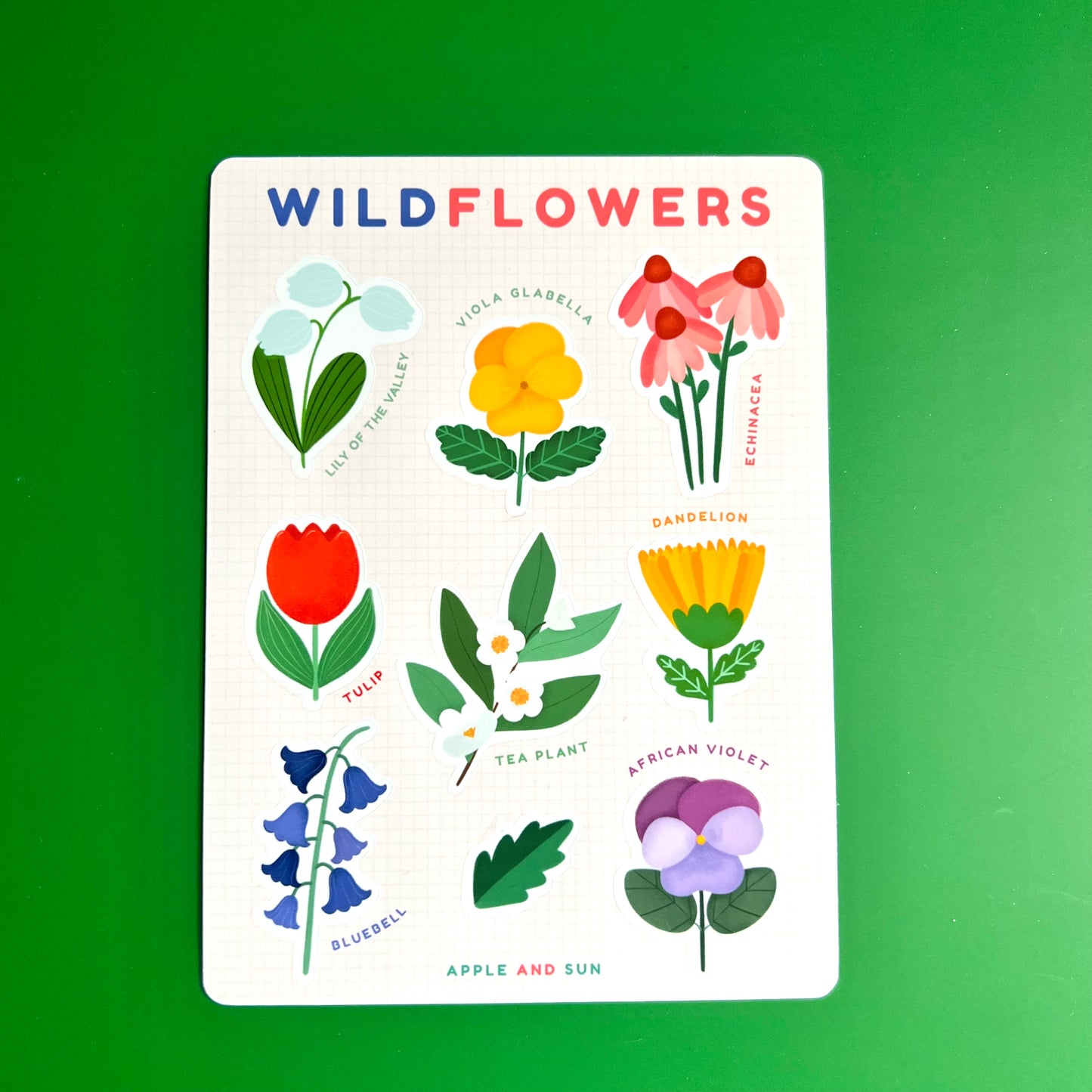 Wild flowers