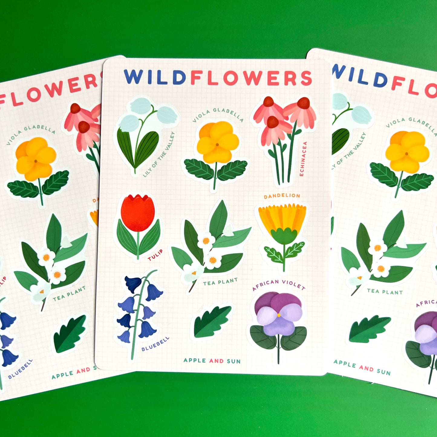 Wild flowers